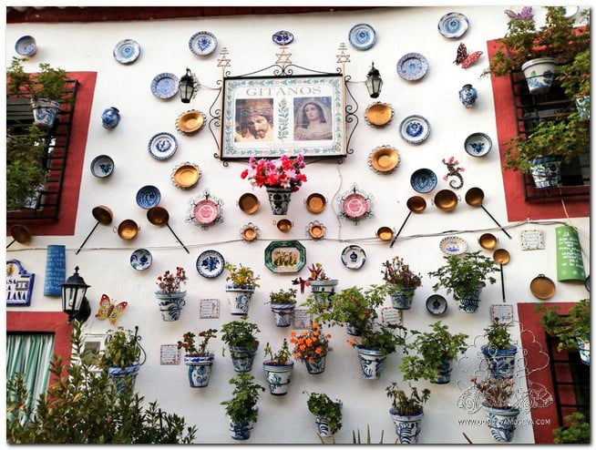 Tour of Sacramonte and Granada