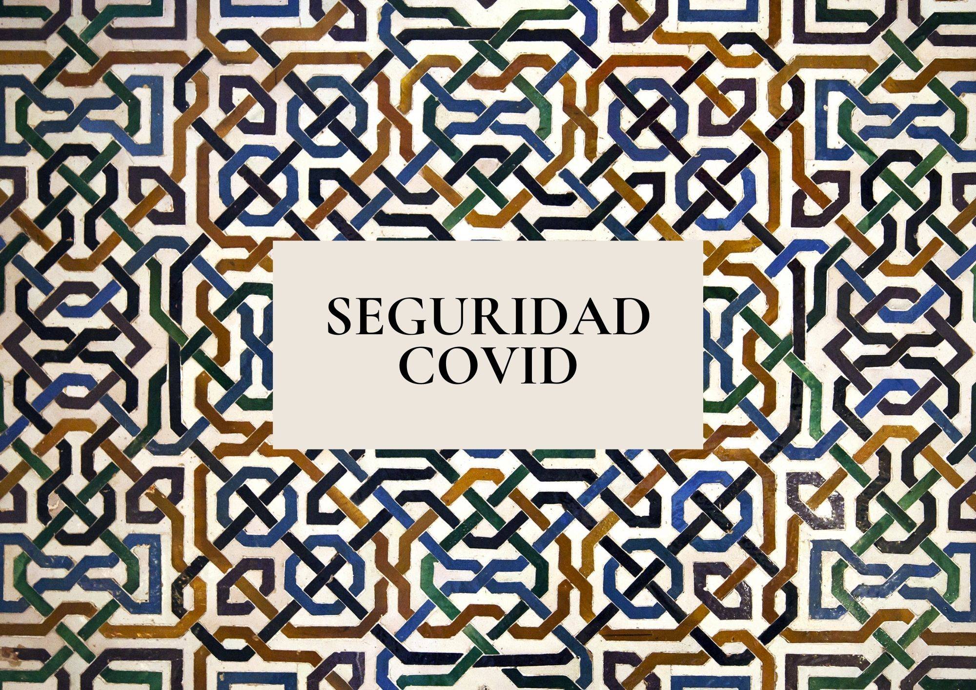 Seguridad Covid