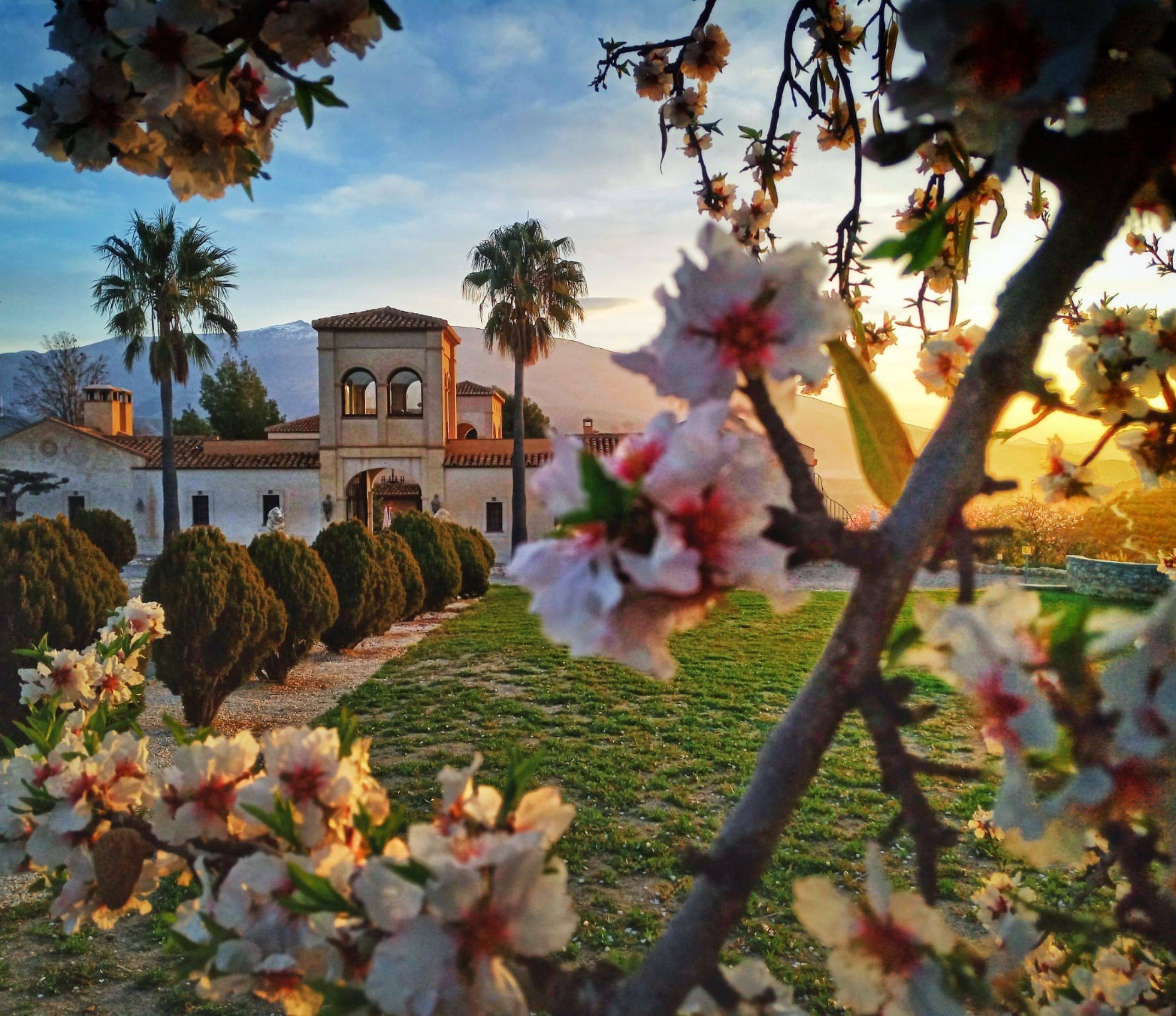 La Esperanza Granada: the most beautiful hacienda in Andalucia
