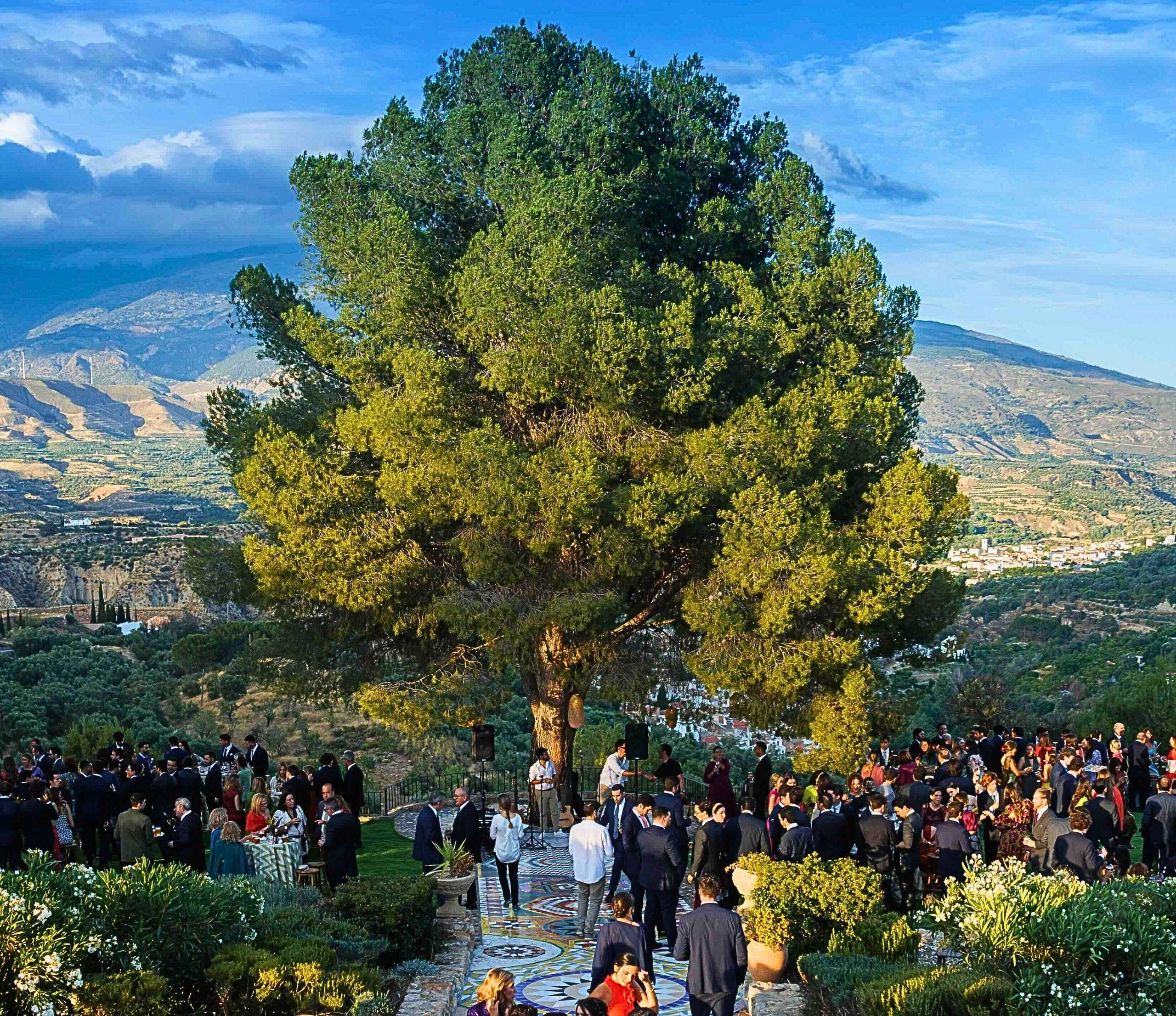 La Esperanza Granada: the most beautiful finca in Andalucia
