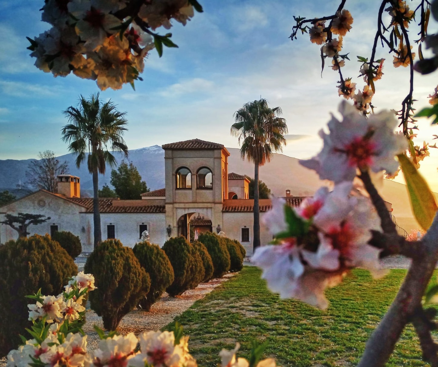 La Esperanza Granada: The best wedding venue in Andalucia