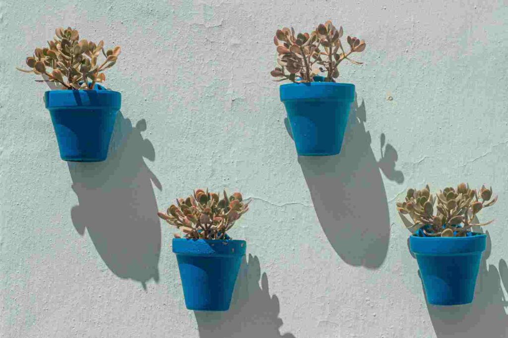 Is a day trip to Frigiliana worth it? This town of blue and white should definitely be on your itinerary.