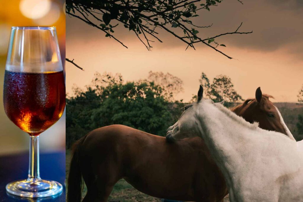 A glass of rich Pedro Ximénez sherry from Andalusia beside two horses at sunset in the Spanish countryside — capturing the soulful spirit of southern Spain. At La Esperanza Granada, this sweet sherry adds depth to the best panna cotta recipe with a Spanish twist, blending tradition, nature, and elegance.