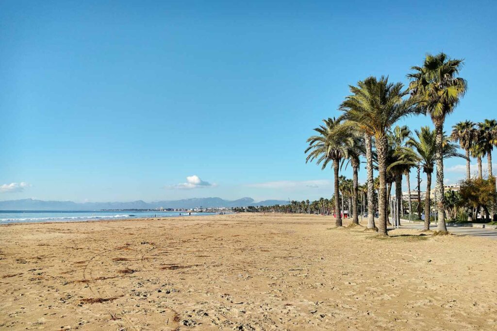 Wide view of Marbella’s golden sandy beach lined with tall palm trees under a clear blue sky, with the distant mountains of the Costa del Sol visible along the horizon.